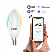 Лампа светодиодная с управлением через Wi-Fi Gauss Smart Home 1110112 IP 20-1