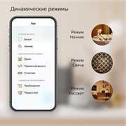 Лампа светодиодная с управлением через Wi-Fi Gauss Smart Home 1230112 IP 20-4