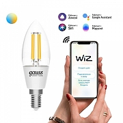 Лампа светодиодная с управлением через Wi-Fi Gauss Smart Home 1250112 IP 20-3