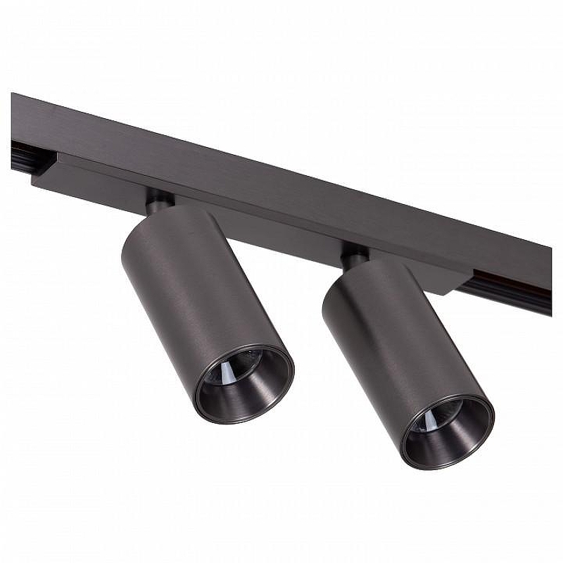 Светильник на штанге Lucide Linial 55901/16/08 