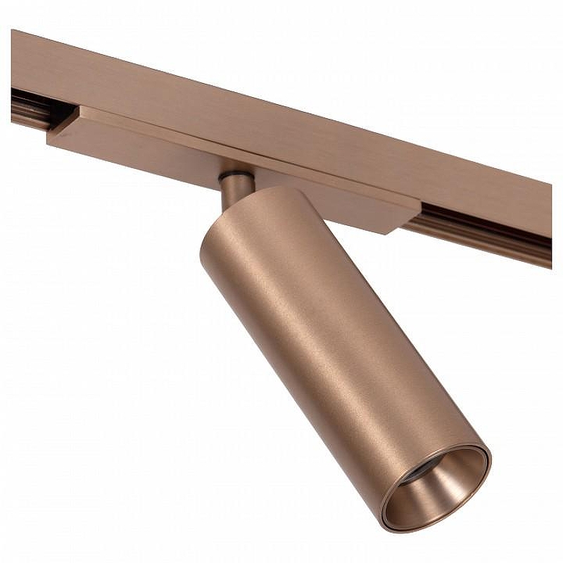 Светильник на штанге Lucide Linial 55902/10/05 