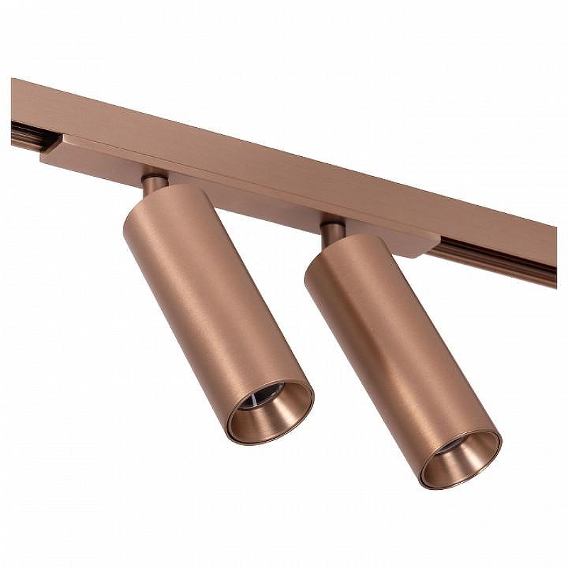 Светильник на штанге Lucide Linial 55902/20/05 