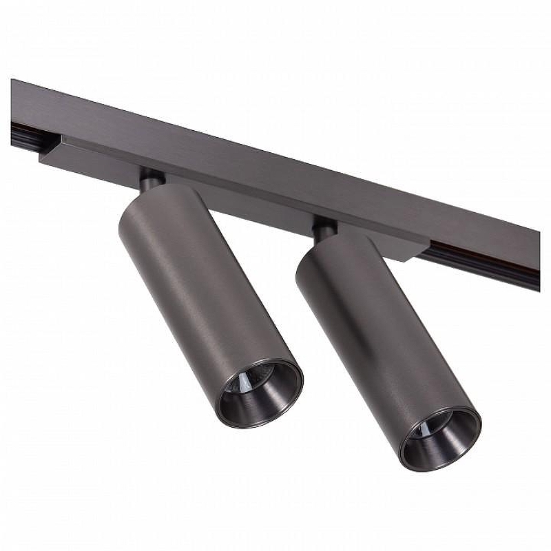 Светильник на штанге Lucide Linial 55902/20/08 