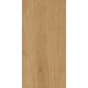 Керамогранит Protiles Albero PT12F7041 60x120 см-2