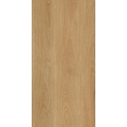 Керамогранит Protiles Albero PT12F7041 60x120 см-3