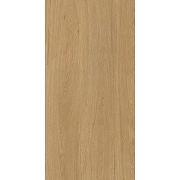 Керамогранит Protiles Albero PT12F7041 60x120 см-4