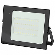 Прожектор Эра LPR-041 LPR-041-1-65K-050 цвет плафона/подвески Прозрачный, цвет арматуры Черный