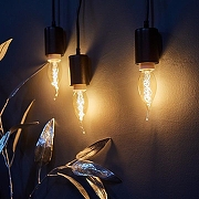 Лампа накаливания Uniel UL-00000483 IP0-7