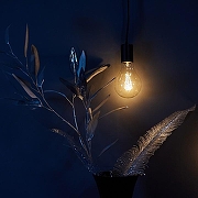 Лампа накаливания Uniel IL-V UL-00000477 IP0-7