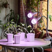 Светодиодная лампа Uniel UL-00001820 IP0-7