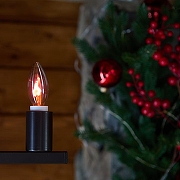 Лампа накаливания Uniel UL-00002981 IP0-7