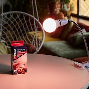 Лампа для птицеводства Uniel UL-00003189 IP20-6