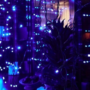 Занавес световой Uniel ULD-C2030 UL-00003936 ширина 3000 мм-8