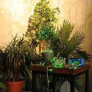 Гирлянда Нить Uniel ULD-S0500 UL-00005760 длина 5000 мм-7