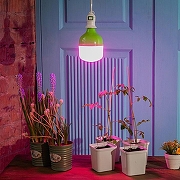 Светодиодная лампа Uniel UL-00006261 IP54-4