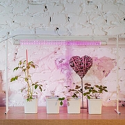 Светодиодная лампа Uniel UL-00006697 IP20-6