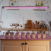 Светодиодная лампа Uniel UL-00006698 IP20-8