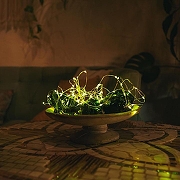 Гирлянда Нить Uniel ULD-S1000 UL-00007180 длина 10000 мм-9