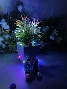 Гирлянда Нить Uniel ULD-S0500 UL-00007248 длина 5000 мм-8