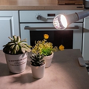 Светодиодная лампа Uniel UL-00007404 IP20-4