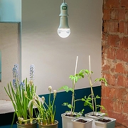 Светодиодная лампа Uniel UL-00007405 IP20-9