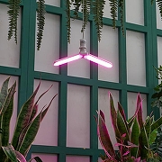 Светодиодная лампа Uniel UL-00007406 IP20-8