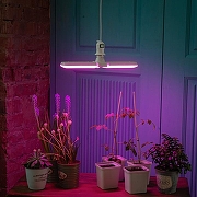 Светодиодная лампа Uniel UL-00007406 IP20-11