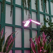 Светодиодная лампа Uniel UL-00007407 IP20-7