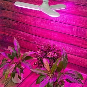 Светодиодная лампа Uniel UL-00007407 IP20-8