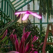 Светодиодная лампа Uniel UL-00007408 IP20-6