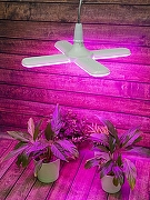 Светодиодная лампа Uniel UL-00007408 IP20-7