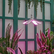 Светодиодная лампа Uniel UL-00007408 IP20-8