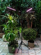 Наземный прожектор для растений Uniel ULT-P32 UL-00008905 цвет плафона/подвески Черный, цвет арматуры Черный-9