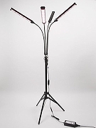 Наземный прожектор для растений Uniel ULT-P32 UL-00008906 цвет плафона/подвески Черный, цвет арматуры Черный-4