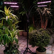 Наземный прожектор для растений Uniel ULT-P32 UL-00008906 цвет плафона/подвески Черный, цвет арматуры Черный-9