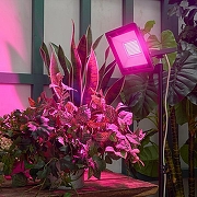 Настенно-потолочный прожектор для растений Uniel ULF-P42 UL-00010384 цвет плафона/подвески Черный, цвет арматуры Черный-5