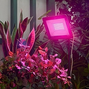 Настенно-потолочный прожектор для растений Uniel ULF-P42 UL-00010384 цвет плафона/подвески Черный, цвет арматуры Черный-6