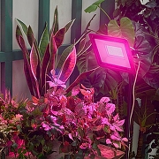 Настенно-потолочный прожектор для растений Uniel ULF-P42 UL-00010384 цвет плафона/подвески Черный, цвет арматуры Черный-7