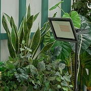 Настенно-потолочный прожектор для растений Uniel ULF-P42 UL-00010384 цвет плафона/подвески Черный, цвет арматуры Черный-8