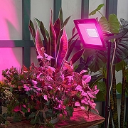 Настенно-потолочный прожектор для растений Uniel ULF-P42 UL-00010384 цвет плафона/подвески Черный, цвет арматуры Черный-9