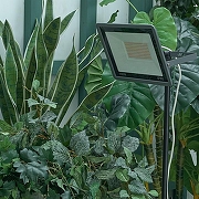 Настенно-потолочный прожектор для растений Uniel ULF-P42 UL-00010385 цвет плафона/подвески Черный, цвет арматуры Черный-6