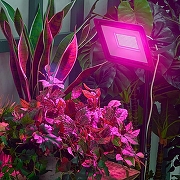 Настенно-потолочный прожектор для растений Uniel ULF-P42 UL-00010385 цвет плафона/подвески Черный, цвет арматуры Черный-7