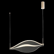 Подвесной светильник Wertmark Hett1 WE450.01.323 цвет плафона/подвески Прозрачный, цвет арматуры Золото-1