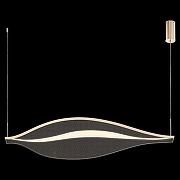 Подвесной светильник Wertmark Hett1 WE450.01.343 цвет плафона/подвески Прозрачный, цвет арматуры Золото-1