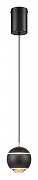 Подвесной светильник Wertmark Wertmark WE470.01.366 цвет плафона/подвески Черный, цвет арматуры Черный-1