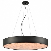 Подвесной светильник Wertmark Edera WE510.02.723 цвет плафона/подвески Белый, Черный, цвет арматуры Черный-1