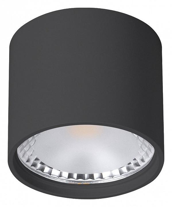 Накладной светильник Wertmark WTA WTA.O02.607.V0.07 