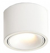 Накладной светильник Wertmark WTA.O06 WTA.O06.007.30.07 цвет плафона/подвески Белый, цвет арматуры Белый