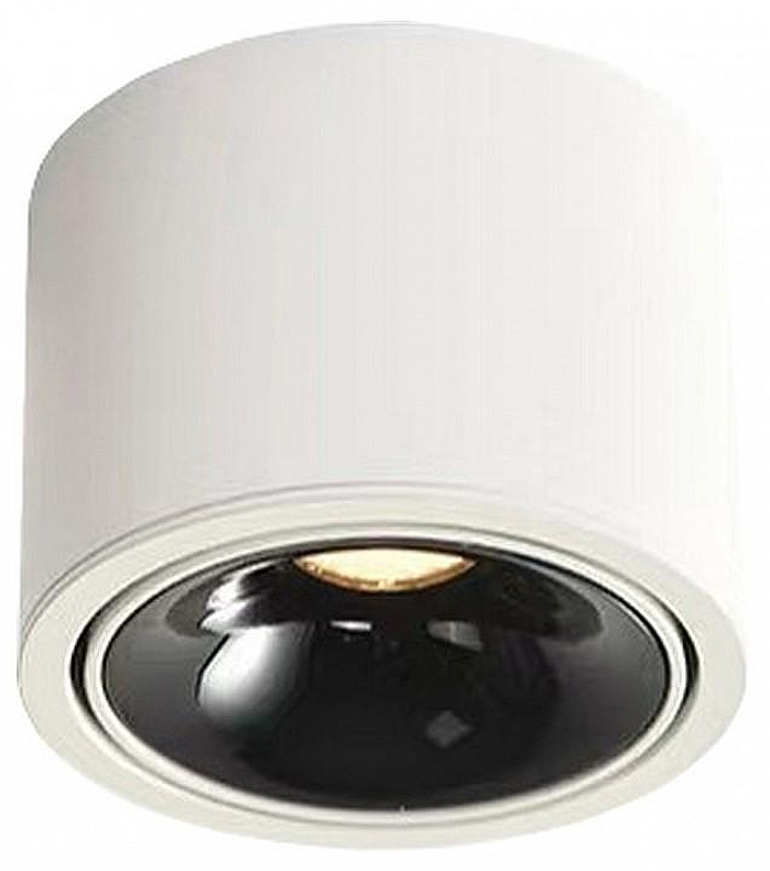 Накладной светильник Wertmark WTA.O06 WTA.O06.067.30.12 