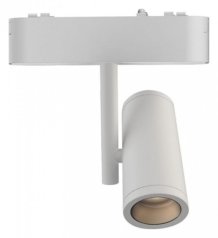 Светильник на штанге Wertmark WTH WTH.O12.003.40.08 